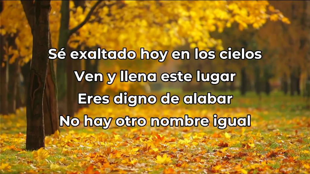 Esperanza de Vida 2025 11 02 11 35 1417