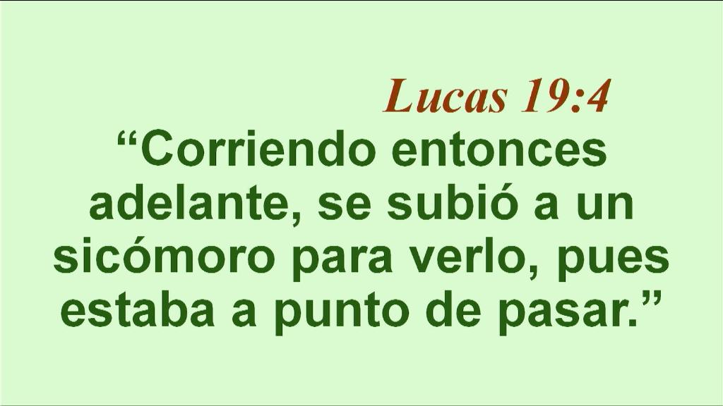 Esperanza de Vida 2025 11 02 11 35 1432