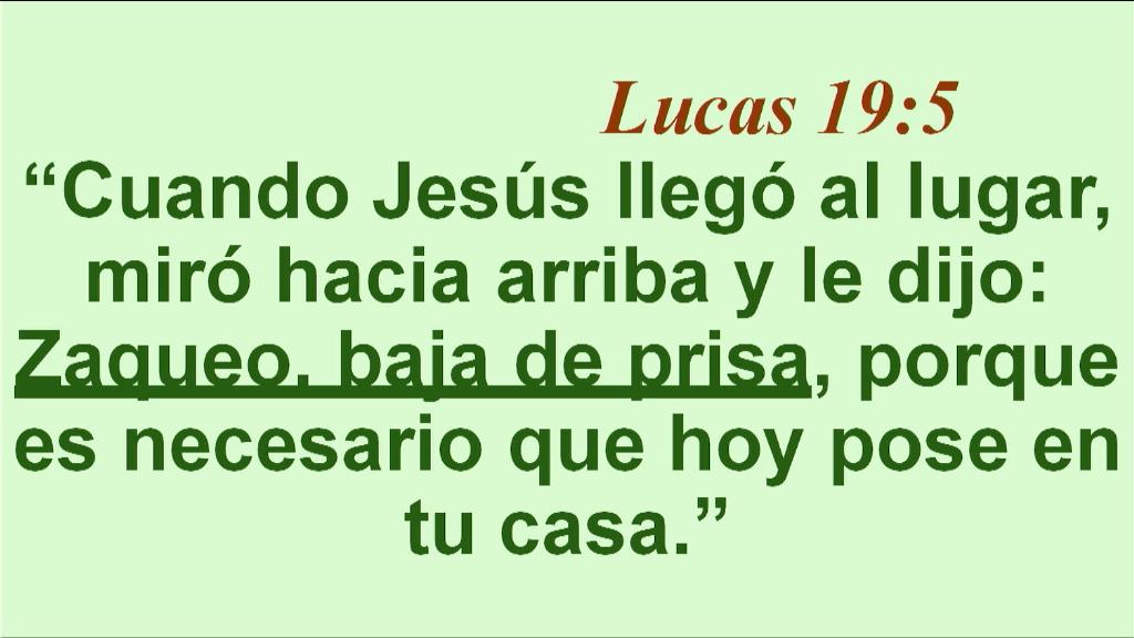 Esperanza de Vida 2025 11 02 11 35 1433