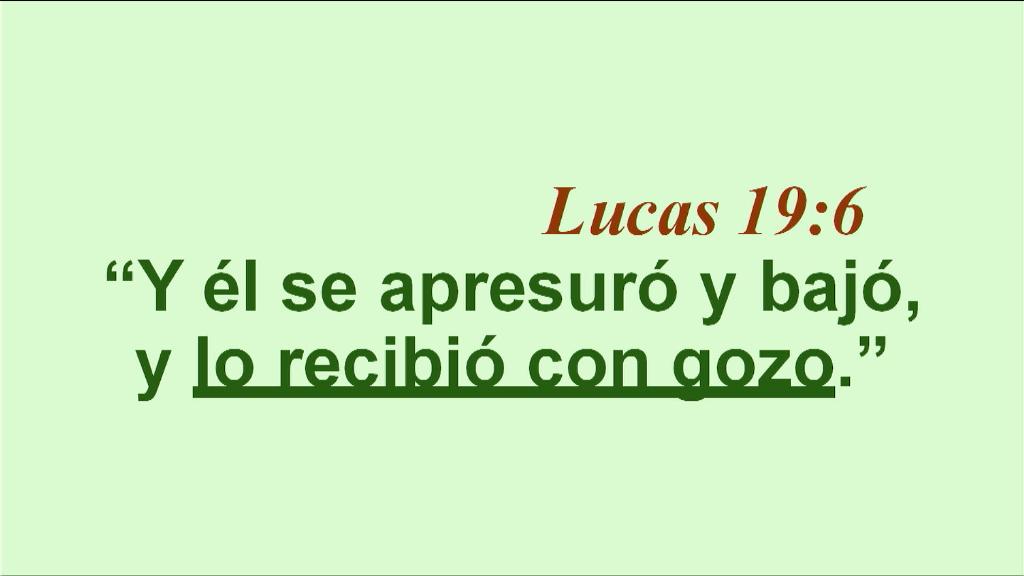 Esperanza de Vida 2025 11 02 11 35 1434
