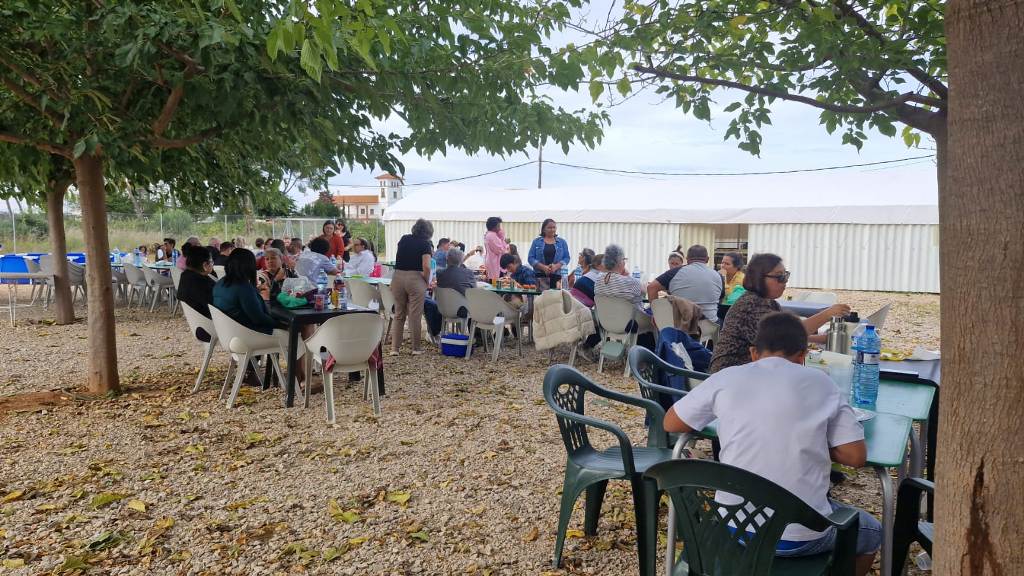 Esperanza de Vida 2025 11 02 a las 11.58.15 e4a9973d15