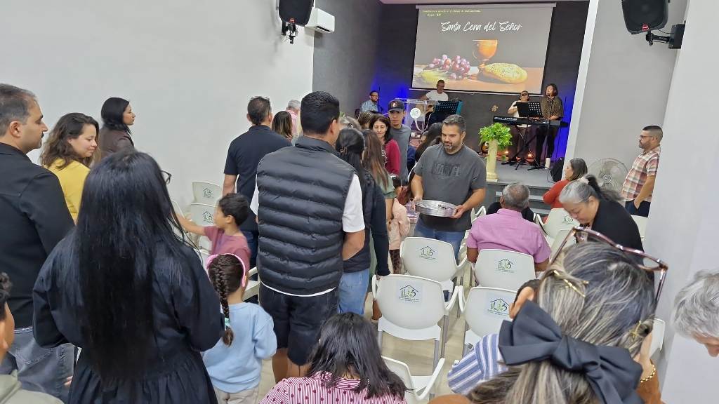 Esperanza de Vida 2025 11 02 a las 11.58.15 e4a9973d3