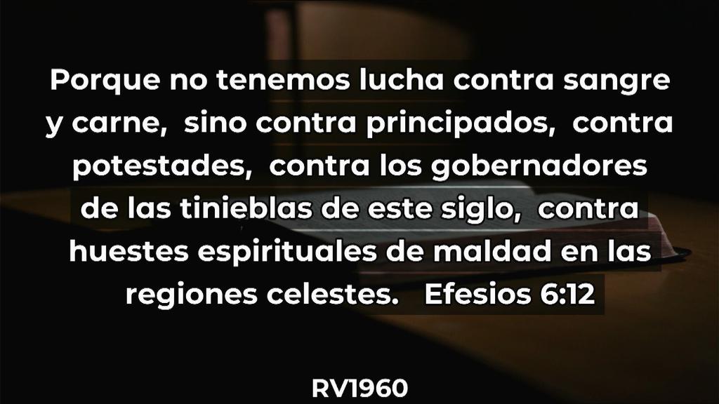 Esperanza de Vida 2025 11 09 11 36 3316