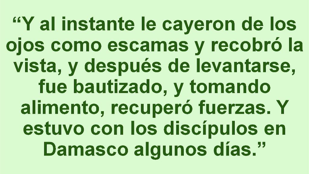 Esperanza de Vida 2025 12 07 11 37 2537