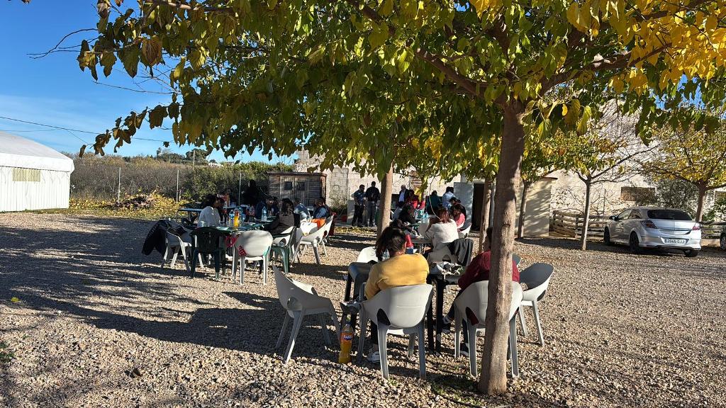 Esperanza de Vida 2025 12 07 a las 15.08.48 517ba89f7