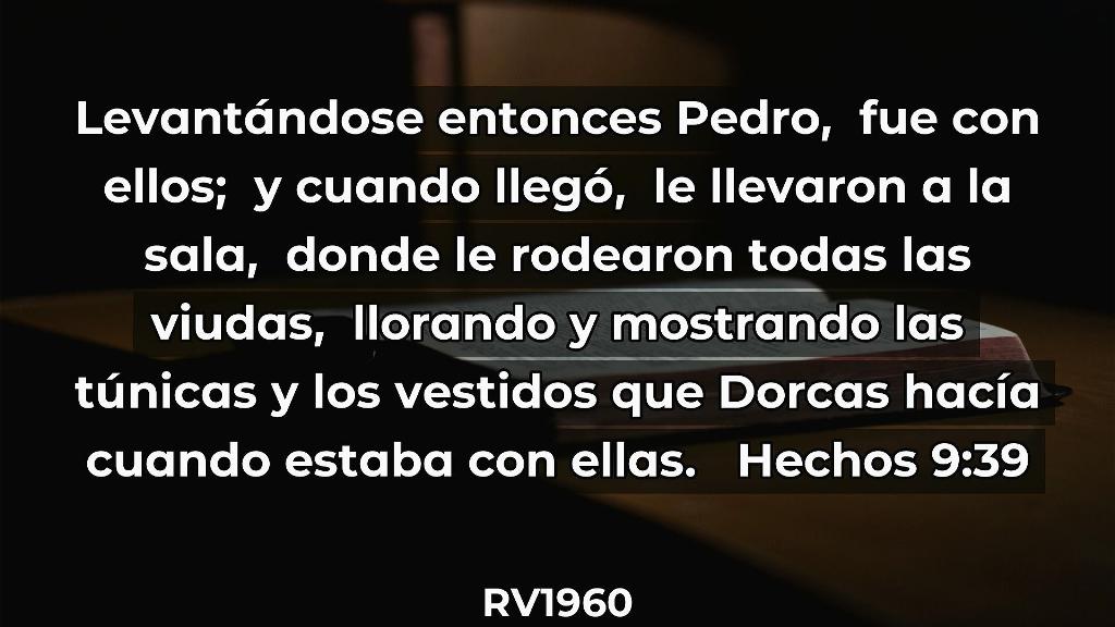 Esperanza de Vida 2025 12 21 11 31 0520