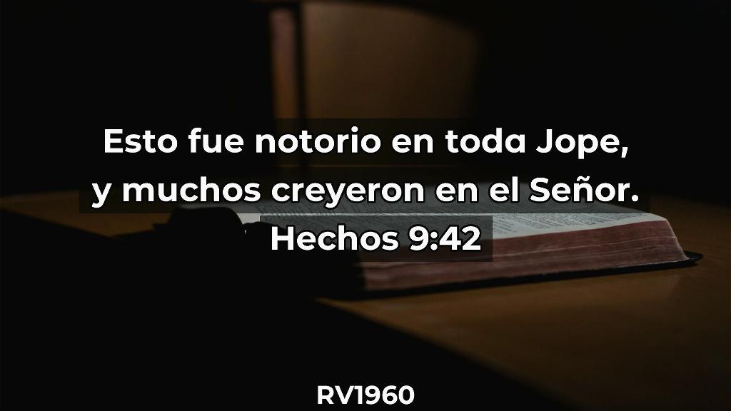 Esperanza de Vida 2025 12 21 11 31 0523