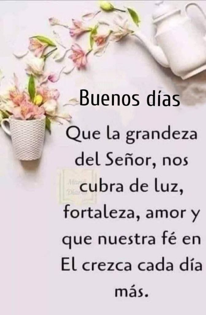 Esperanza de Vida 2025 12 28 at 11.43.1825