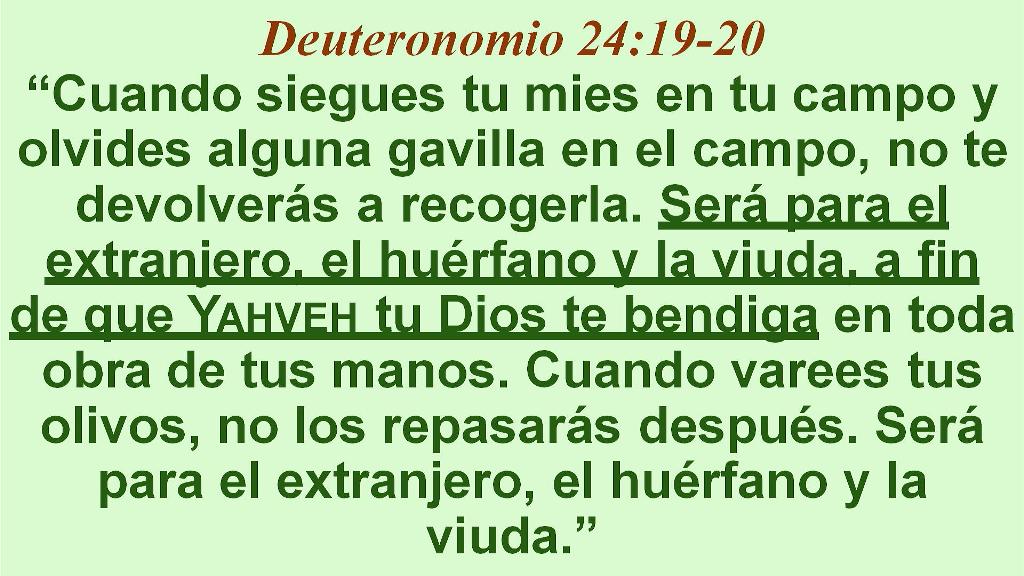 Esperanza de Vida 2026 01 04 11 35 5637