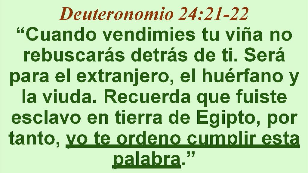 Esperanza de Vida 2026 01 04 11 35 5639