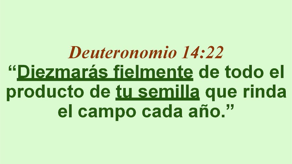 Esperanza de Vida 2026 01 04 11 35 5655