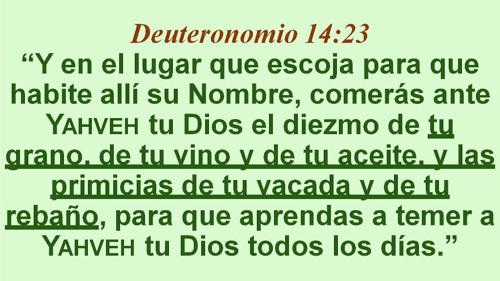 Esperanza de Vida 2026 01 04 11 35 5656