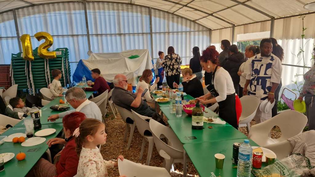 Esperanza de Vida 2026 01 11 at 12.13.51 (1)51