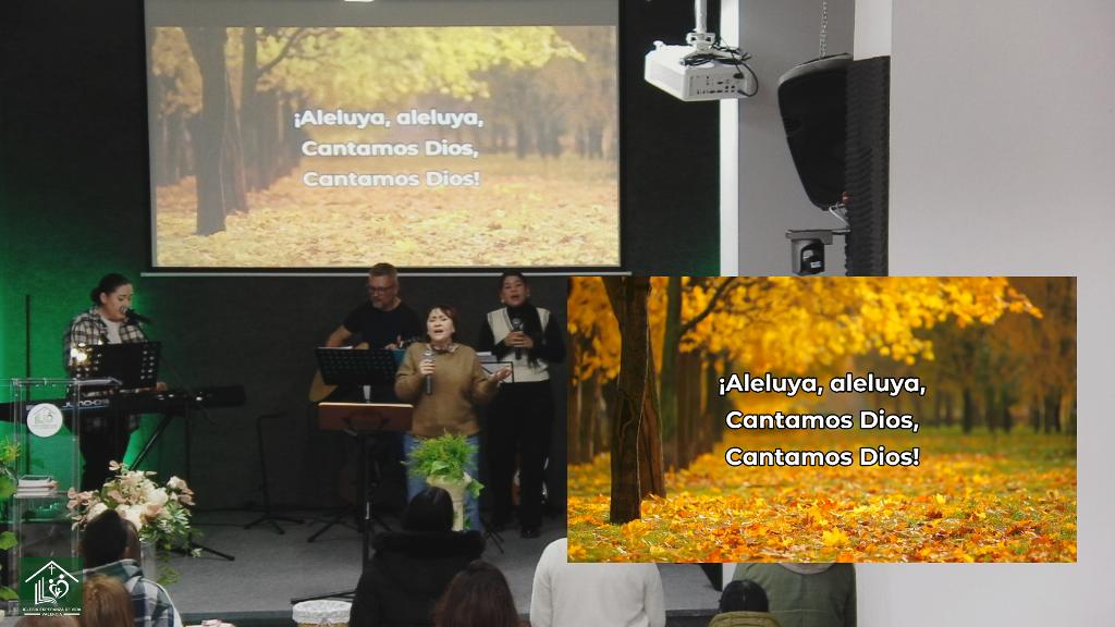 Esperanza de Vida 2026 01 31 17 40 583