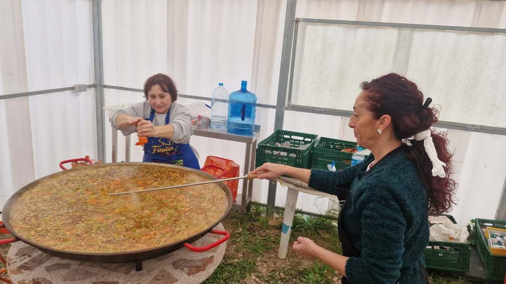 Esperanza de Vida 2026 02 01 at 10.48.3116