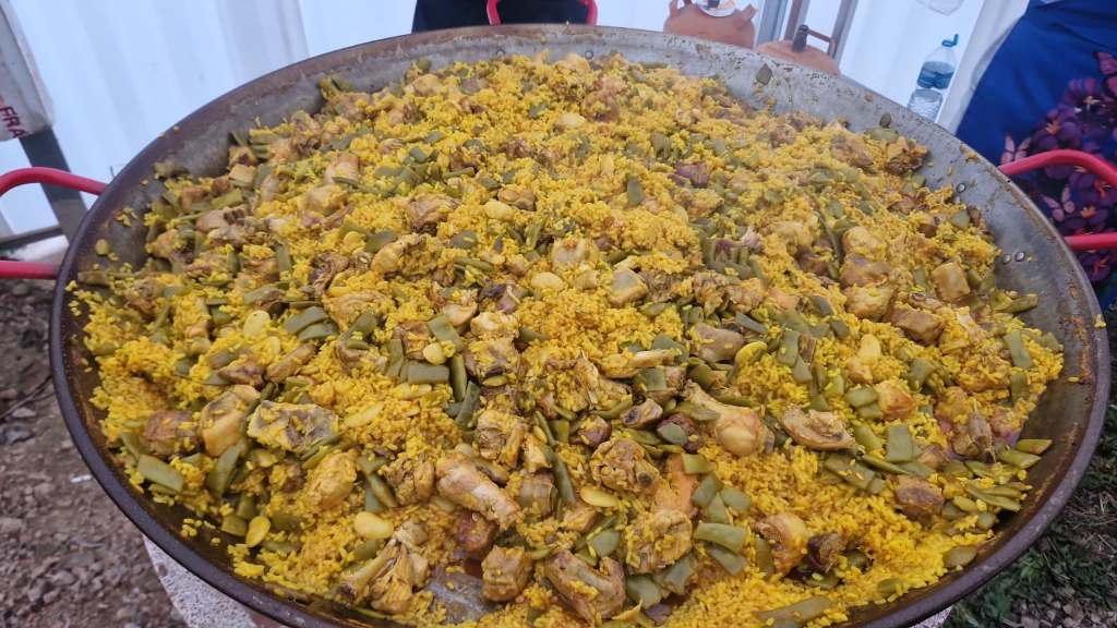 Esperanza de Vida 2026 02 01 at 10.48.3118