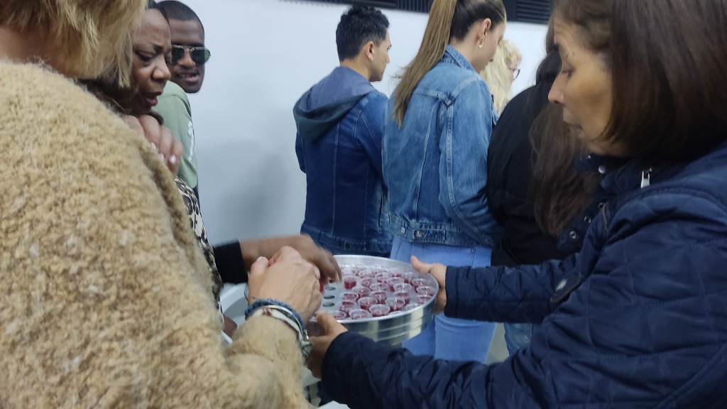 Esperanza de Vida 2026 03 01 at 11.50.30 (1)25