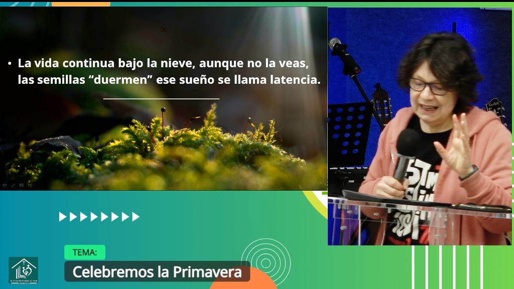 Esperanza de Vida 2026 04 25 17 32 4812