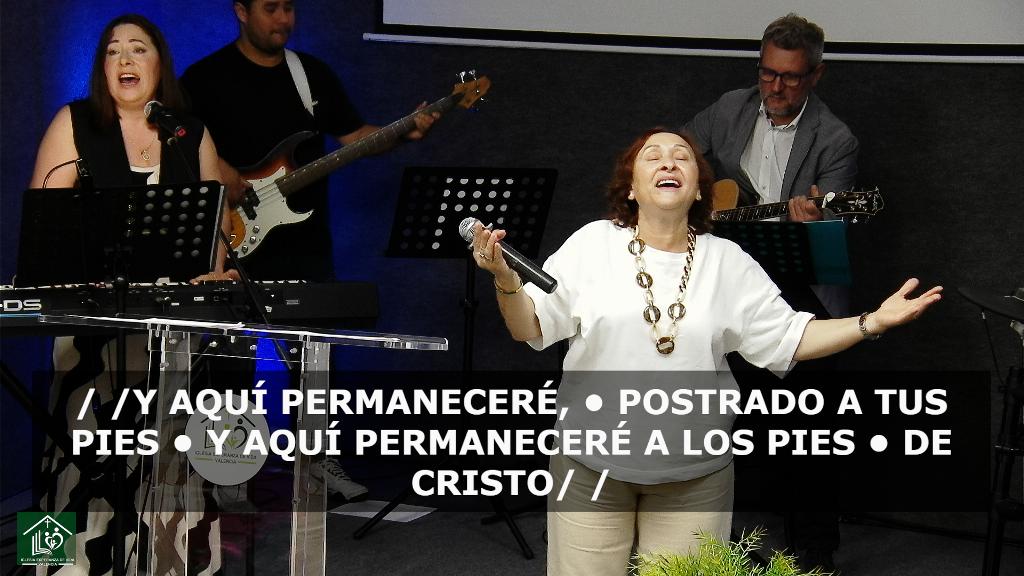 Esperanza de Vida 2026 05 17 11 45 495