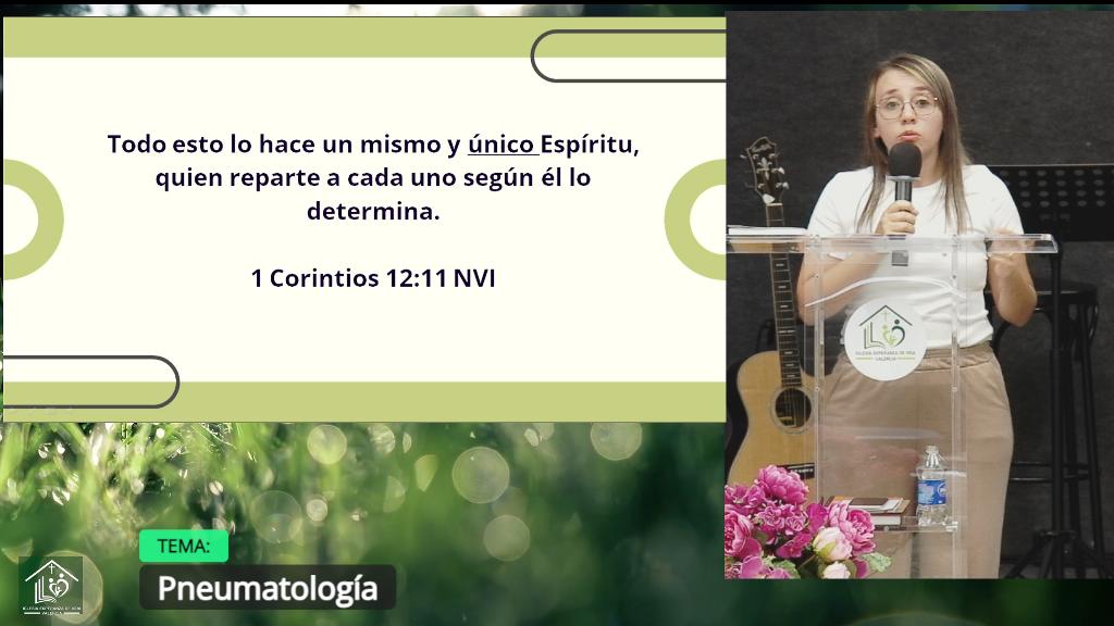 Esperanza de Vida 2026 05 20 19 05 1910