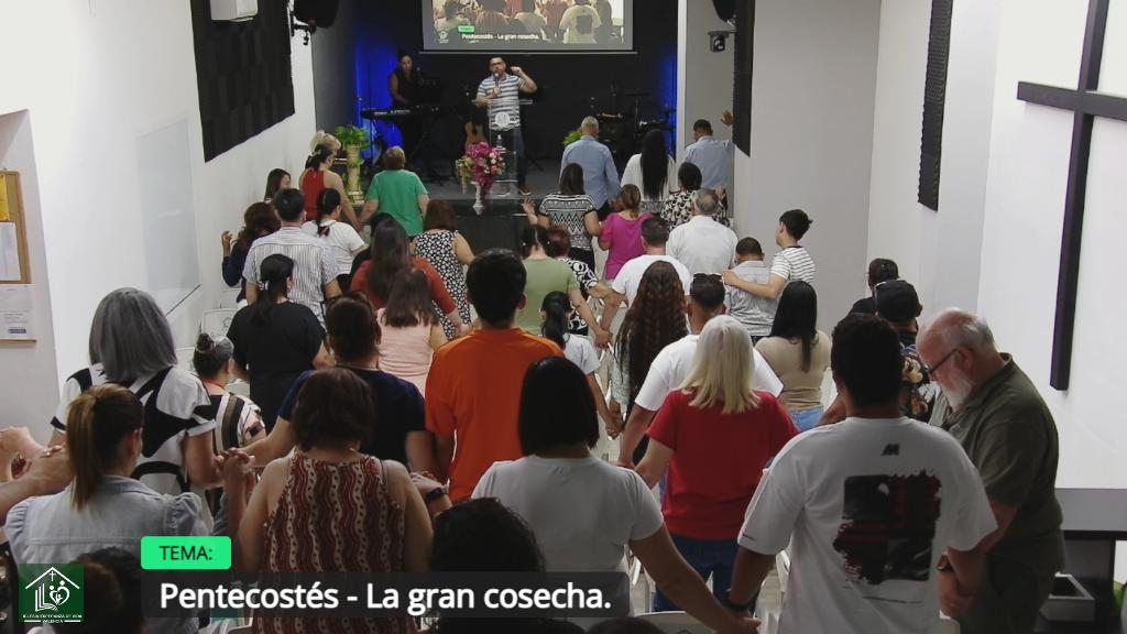 Esperanza de Vida 2026 05 24 11 36 4214