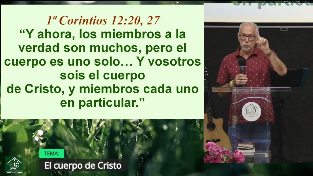 Esperanza de Vida 2026 06 07 11 29 5816