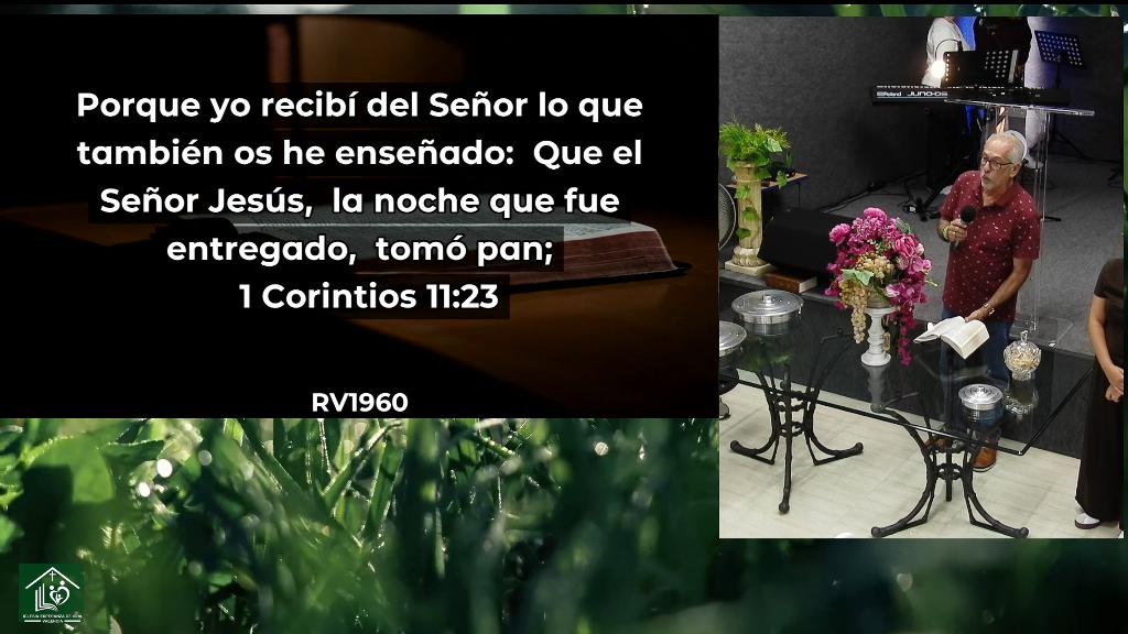 Esperanza de Vida 2026 06 07 11 29 588
