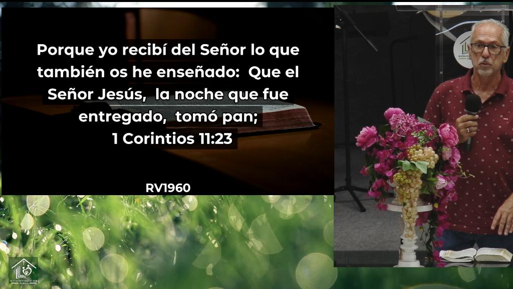 Esperanza de Vida 2026 06 07 11 29 589