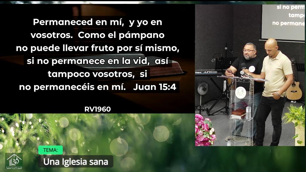 Esperanza de Vida 2026 06 18 19 05 125 Esperanza de Vida 2026 06 18 19 05 125