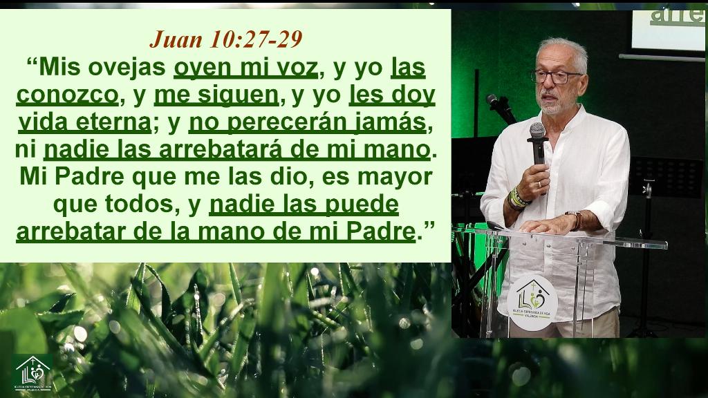 Esperanza de Vida 2026 06 28 11 46 0911