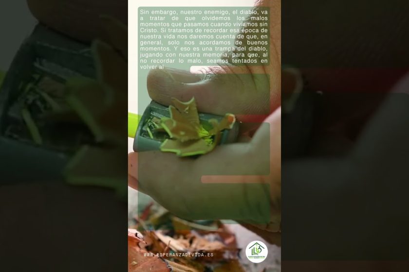 MEDITACIÓN 14082026 – Canal Esperanza de Vida