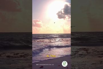 Grabación – Tema >