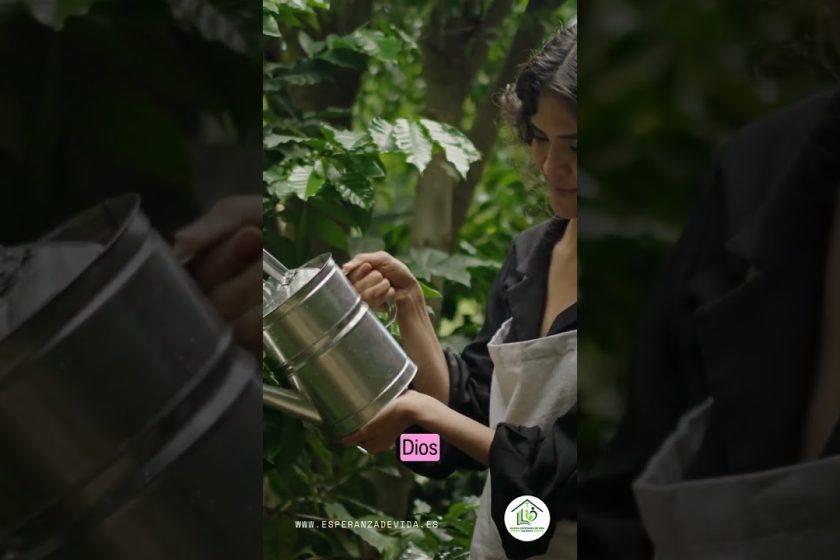 Grabación – Tema >