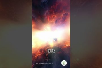 MEDITACIÓN 12102026 – Canal Esperanza de Vida